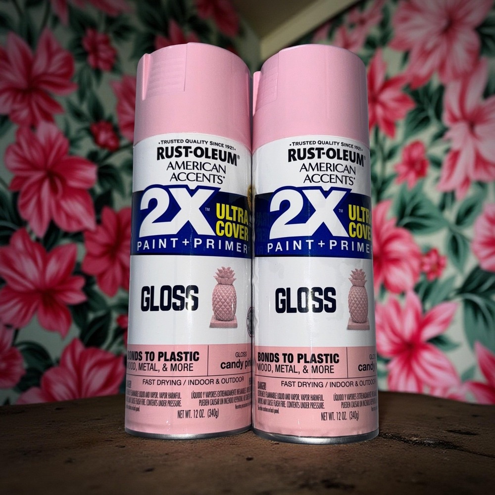 2‎ Cans Rust-Oleum Candy Pink Spray Paint American Accents Gloss 12 oz Girly